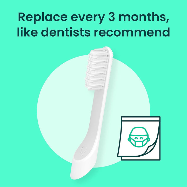 quip Cabezales de repuesto para cepillos de dientes sónicos para ad...
