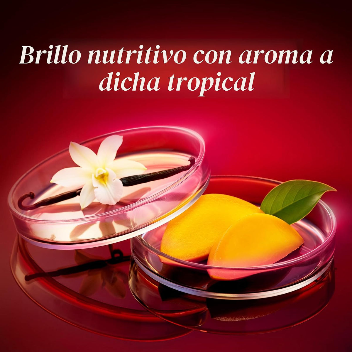 Olay Regenerist - Tratamiento nutritivo, bálsamo labial, brillo lab...