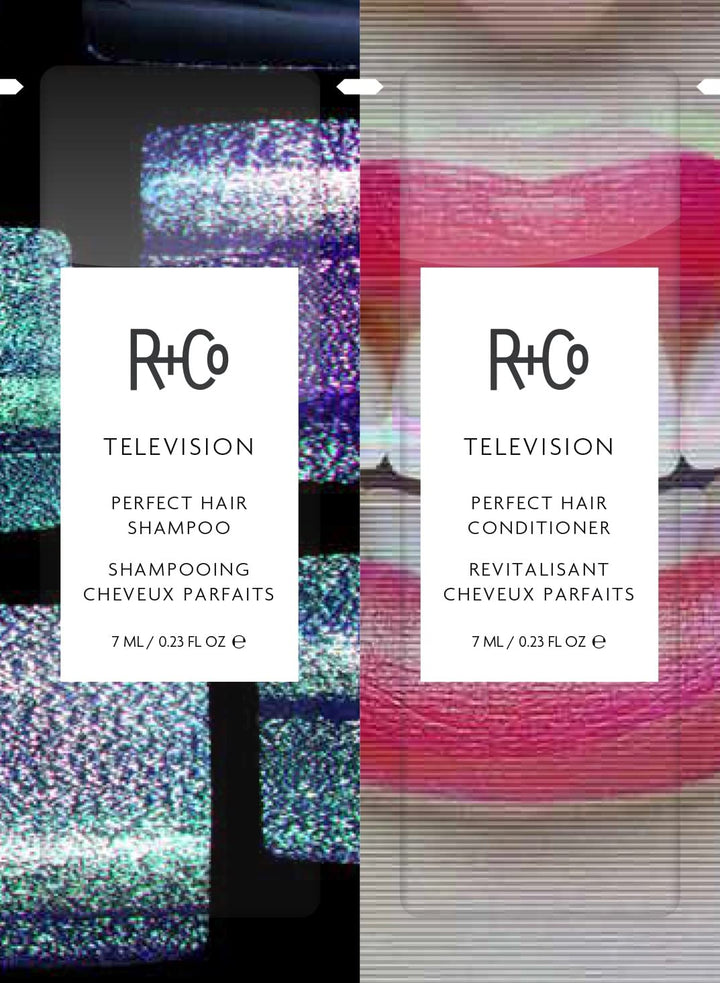 R+Co TELEVISION Perfect Hair Shampoo \u2013 Hydrating &amp; Smoothi...