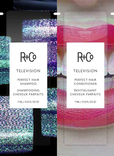 R+Co TELEVISION Perfect Hair Shampoo \u2013 Hydrating &amp; Smoothi...