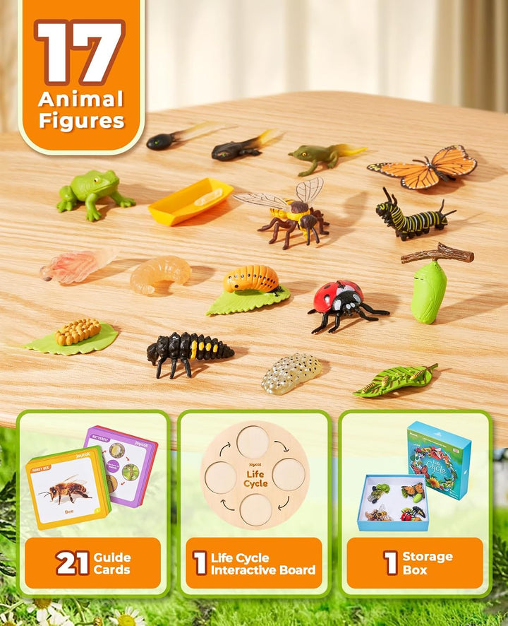 JoyCat Juguetes Educativos de Aprendizaje del Ciclo de Vida, Kit de...