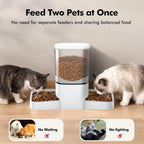 Alimentador automático para gatos de 6 litros para 2 gatos, control de