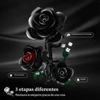 HiWEEGO Juego de construcción de flores con luz LED y cubierta antipolvo