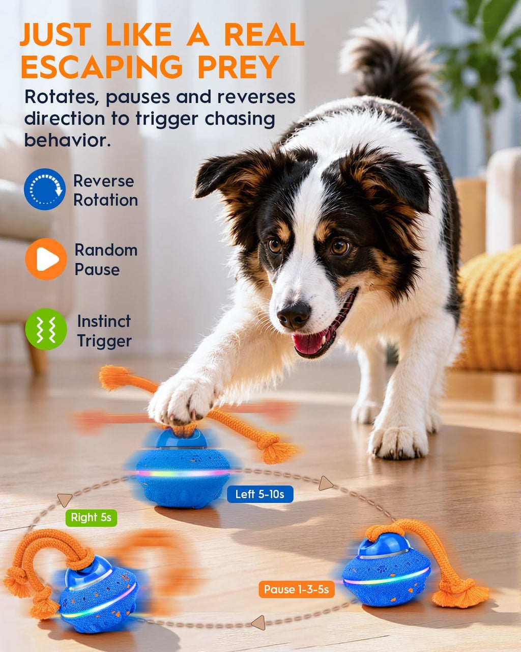 Juguete interactivo de la bola del perro, movimiento giratorio de