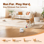 Juguete interactivo para gatos de interior, cinta de correr