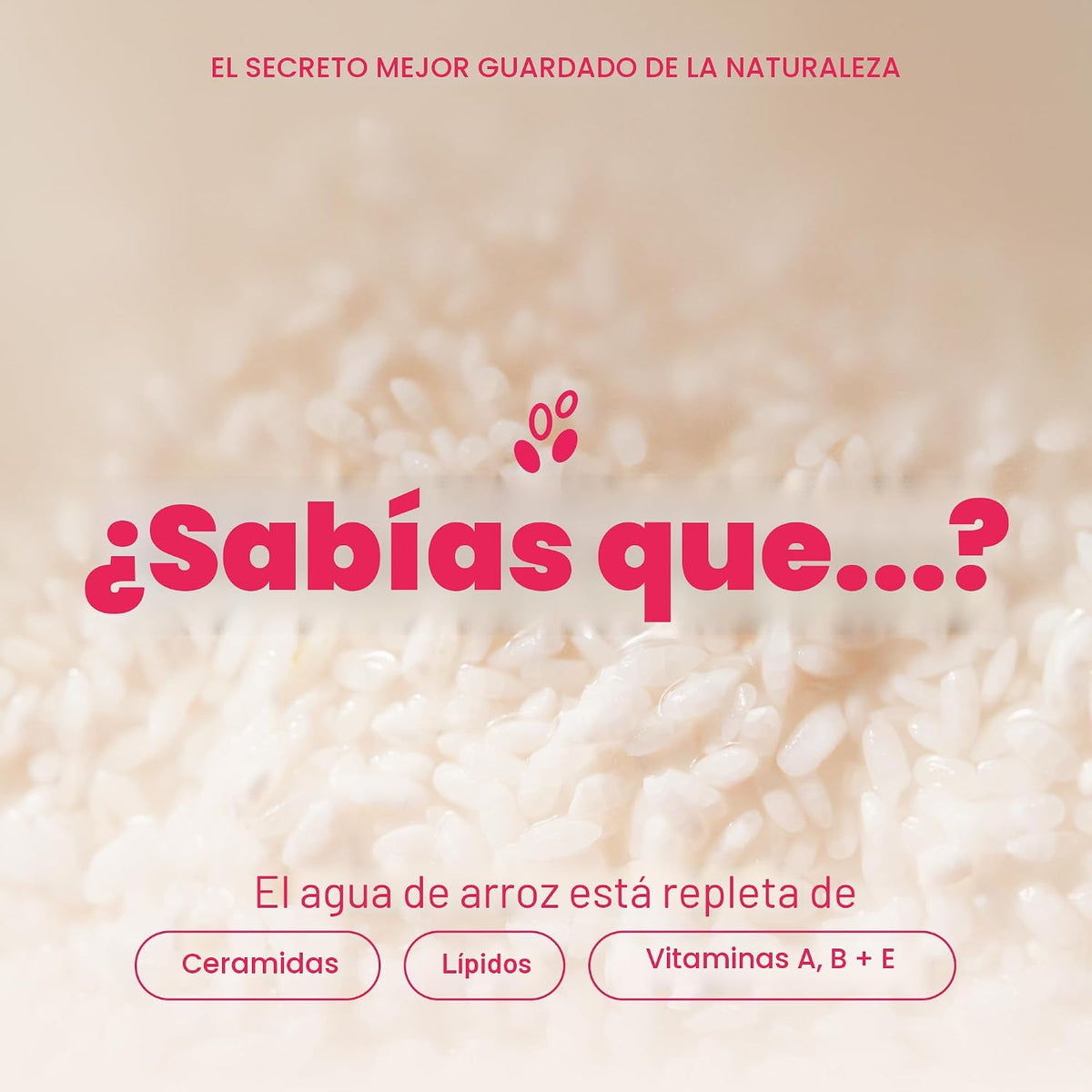 The Face Shop Rice Water Bright Dúo de Doble Limpieza con Ceramida,...