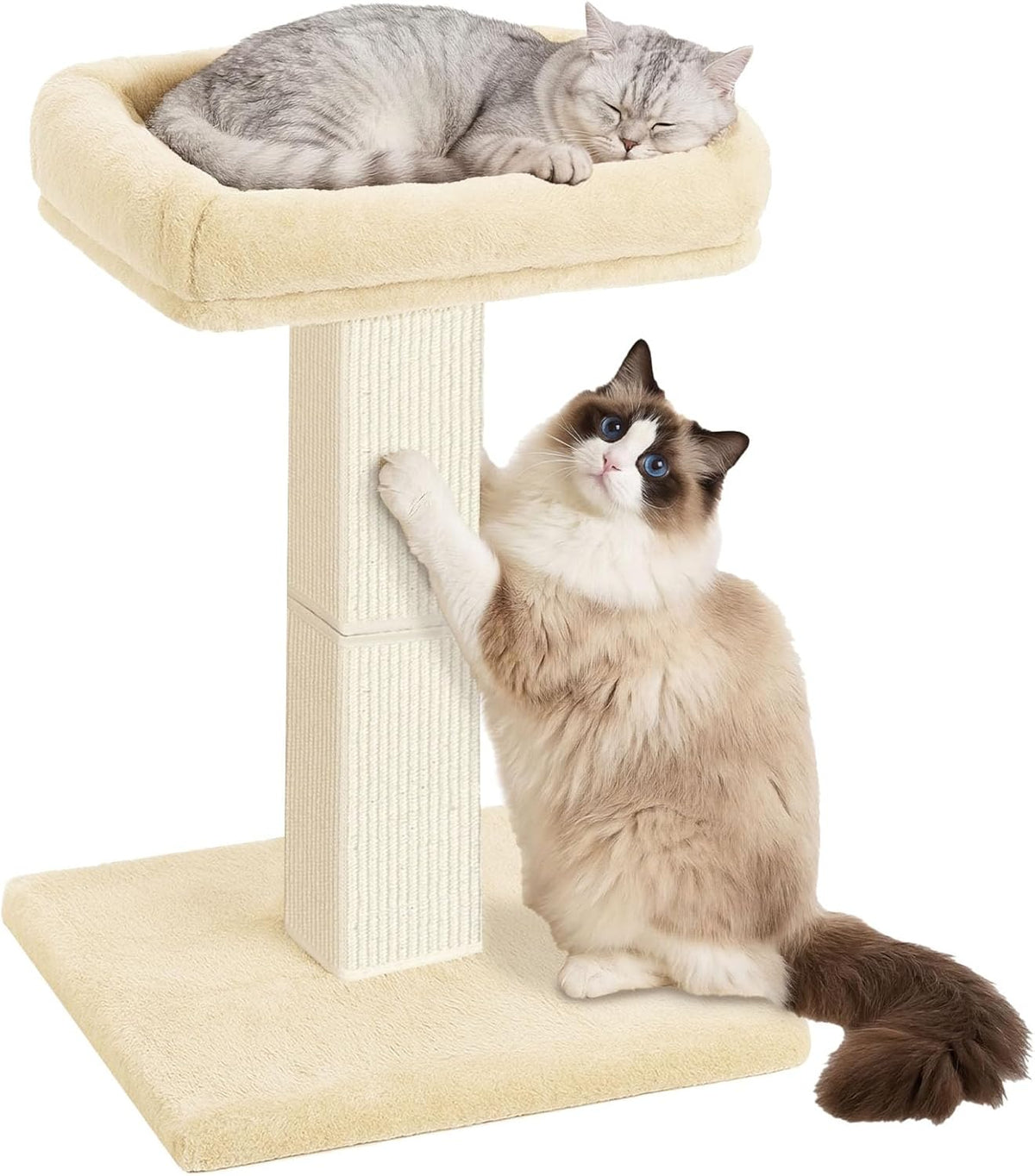 Poste rascador para gatos con percha de felpa para gatos de interior