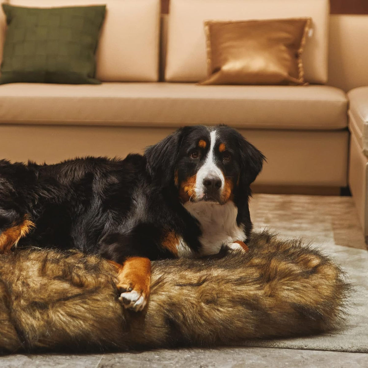Laifug - Cama para perro de piel sintética de lujo, espuma viscoelástica de