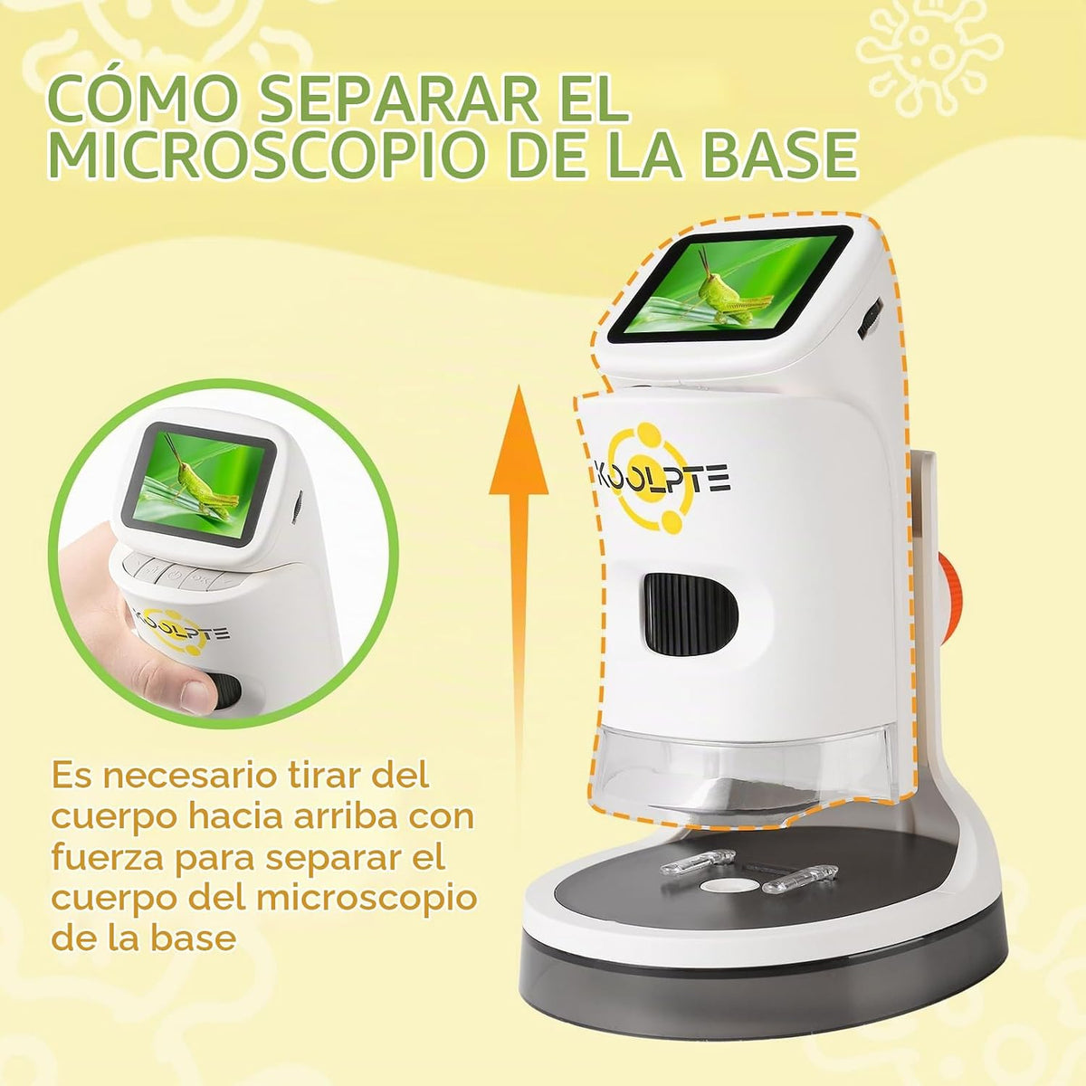 Microscopio digital de mano para niños, 1000X, pantalla LCD HD de 2.1''