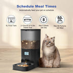 Comedero automático para gatos, dispensador de alimentos