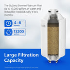 PHILIPS Filtro de ducha, reduce el cloro y los metales pesados