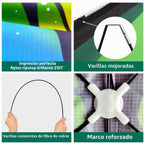 Mint's Colorful Life Paquete de 3 cometas para niños y adultos, fácil de volar, mariposa delta, pulpo, juego para principiantes, grandes cometas de playa para juegos y actividades al aire libre