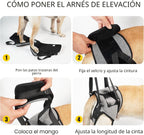 Dotoner Arnés para perros grandes, soporte para las patas traseras para ayudar a rehabilitar las extremidades traseras de perros ancianos con patas traseras débiles, discapacidades y lesiones. El arnés para perro ayuda a la recuperación de artritis ACL