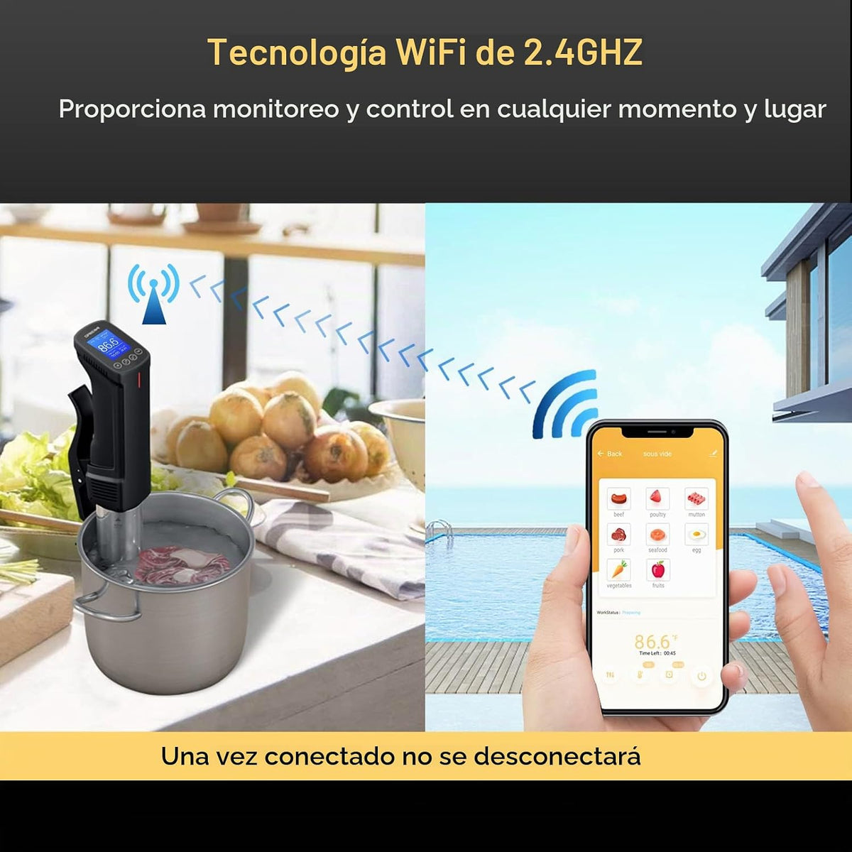 INKBIRD WIFI Sous Vide Cooker y 44 piezas de bomba selladora al vacío Sous Vide Kits de inicio con 30 bolsas de Sous Vide, recetas en la aplicación, máquina Sous-Vide de 1000 W para bistec