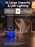 Alimentador automático para gatos y fuente de agua para gatos