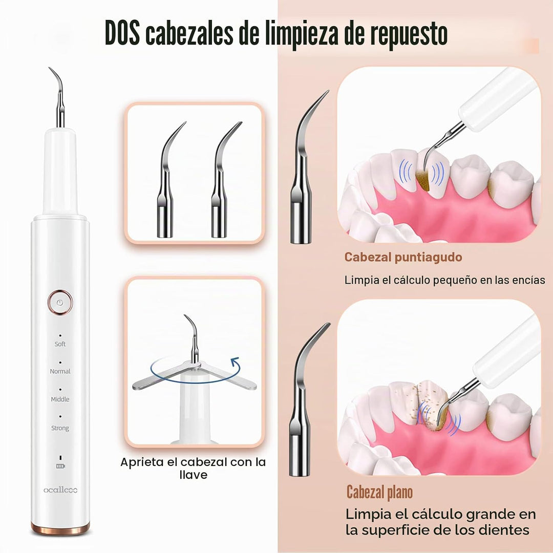 Removedor de placa para dientes, removedor eléctrico de sarro para...