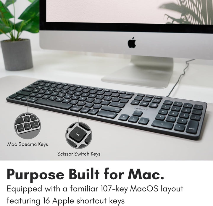 Teclado retroiluminado Macally para Mac - Silencioso, elegante y fu...