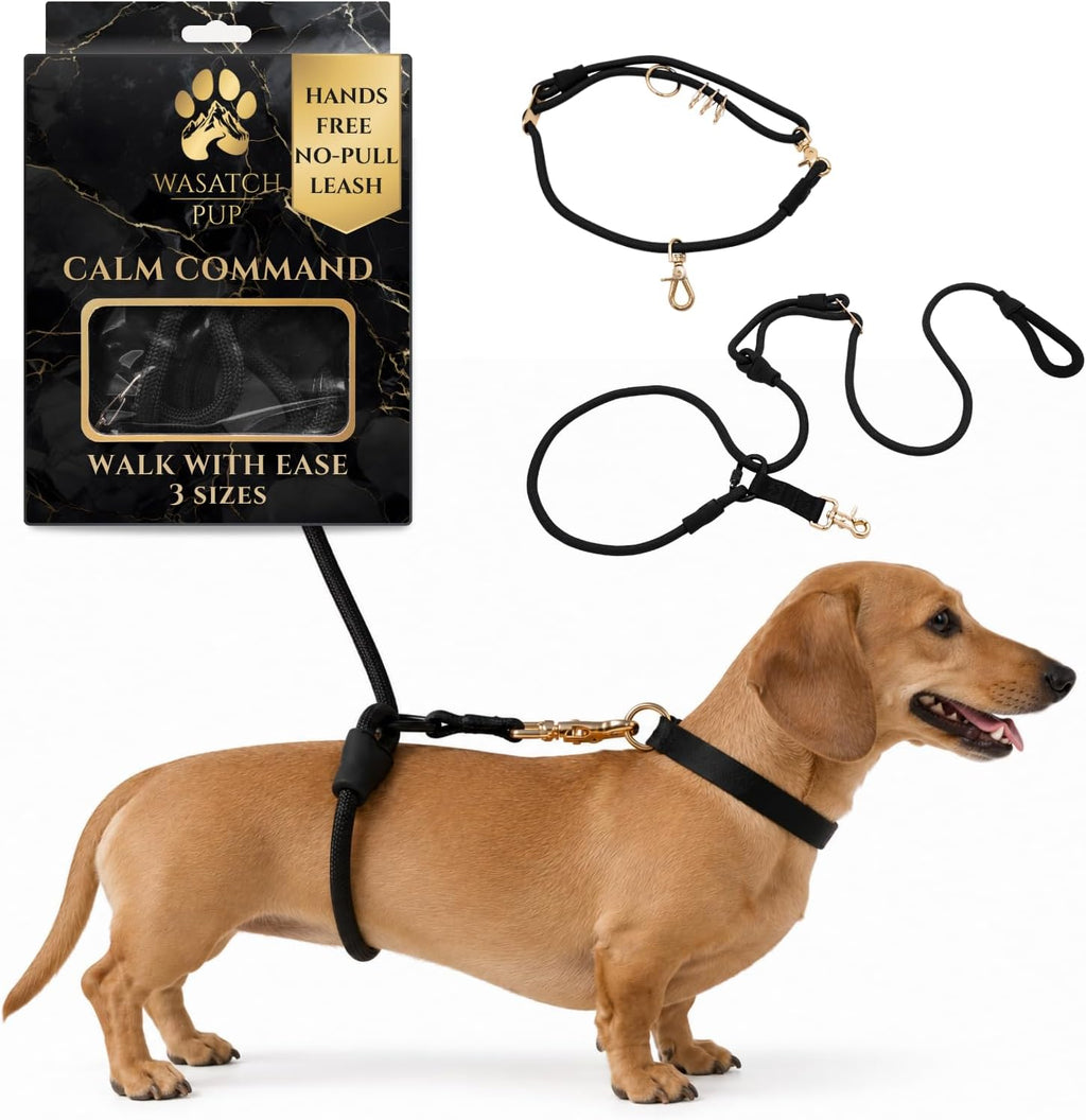 Correa de perro sin tirones con diseño envolvente para caminar