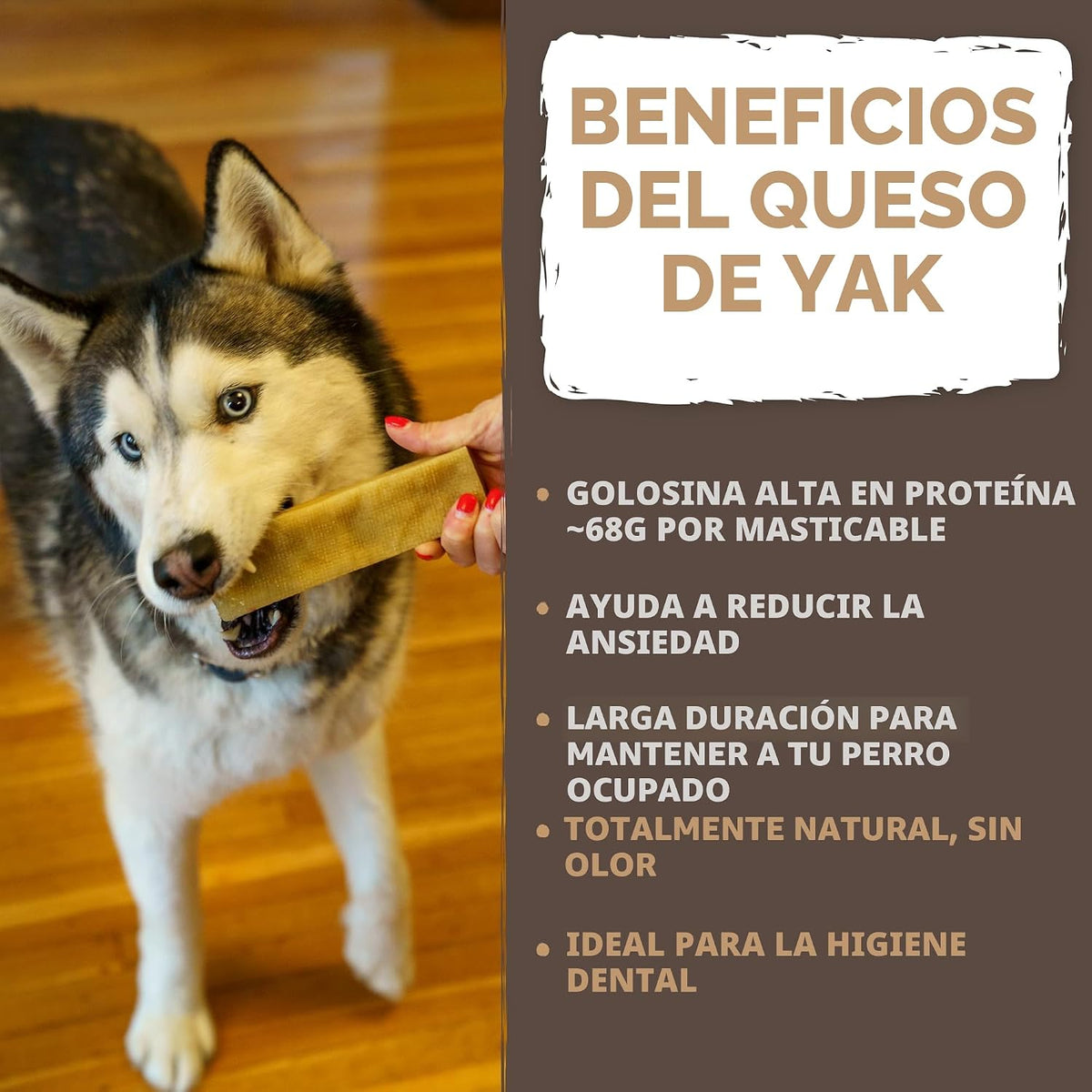 Mighty Paw Yak Chews, masticable duro de larga duración para perros grandes
