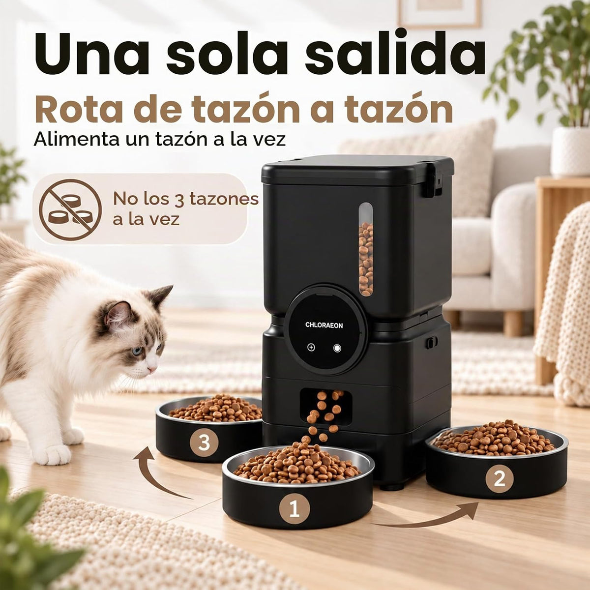 Alimentador automático para gatos para 3 gatos, dispensador de alimentación