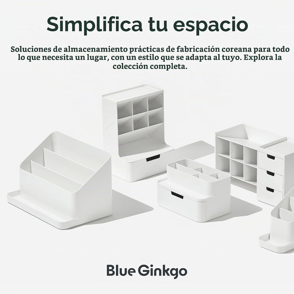 Organizador de Escritorio BLUE GINKGO, Suministros de Oficina, Azul, Hecho en Corea