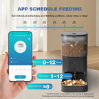 Alimentador automático para gatos, dispensador de alimentos