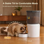 Alimentadores automáticos para gatos, alimentador automático del animal
