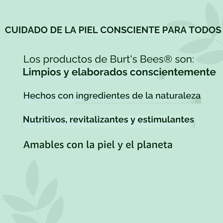 Burt's Bees - Bálsamo labial hidratante 100% natural, de cera d...