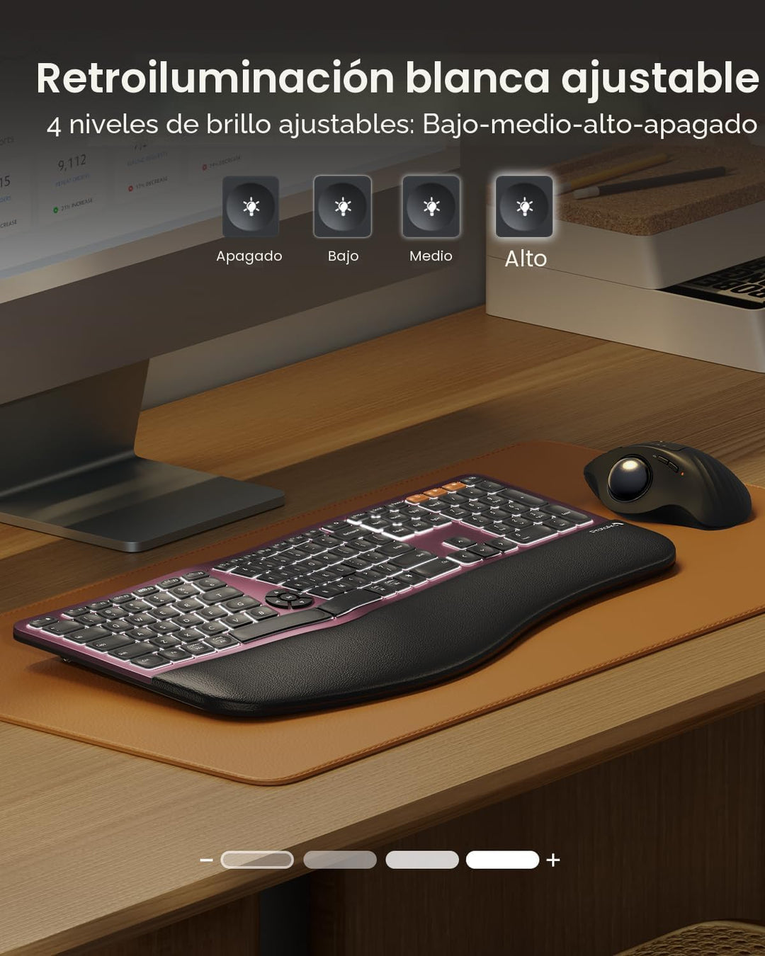 ProtoArc Teclado ergonómico Bluetooth retroiluminado, EK01 Plus Tec...