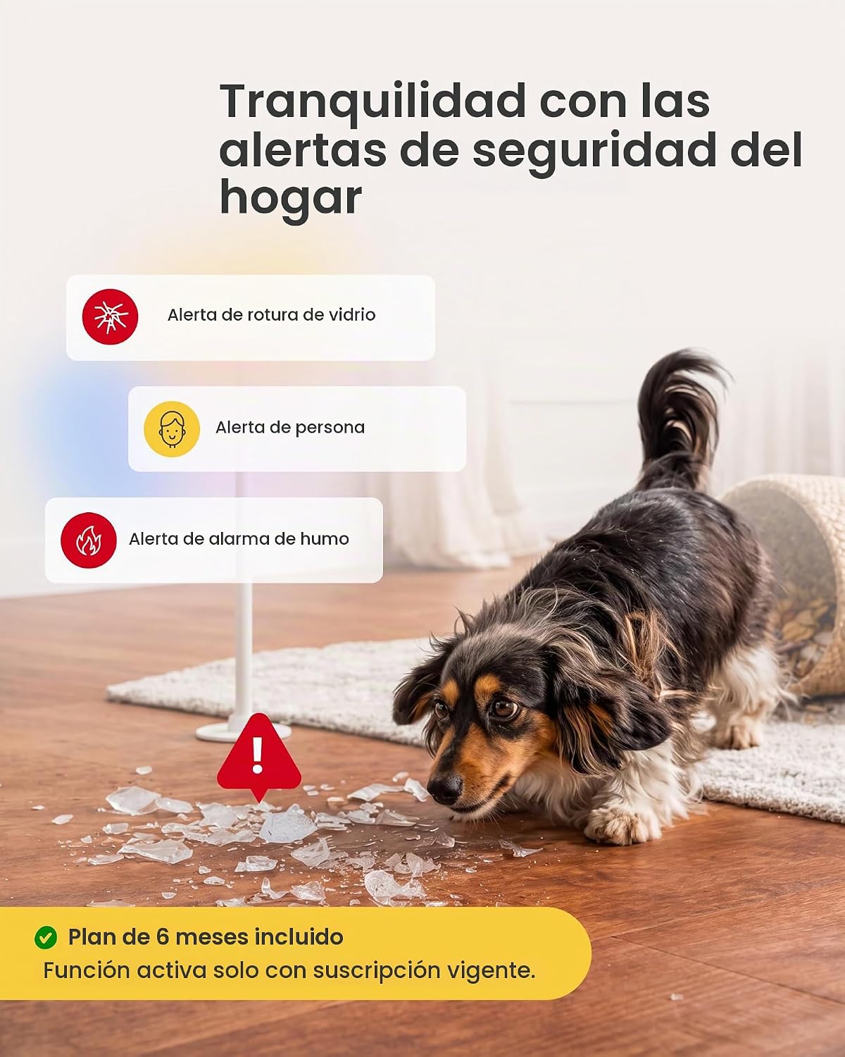 Furbo Mini cámara para mascotas [suscripción de 6 meses incluida]