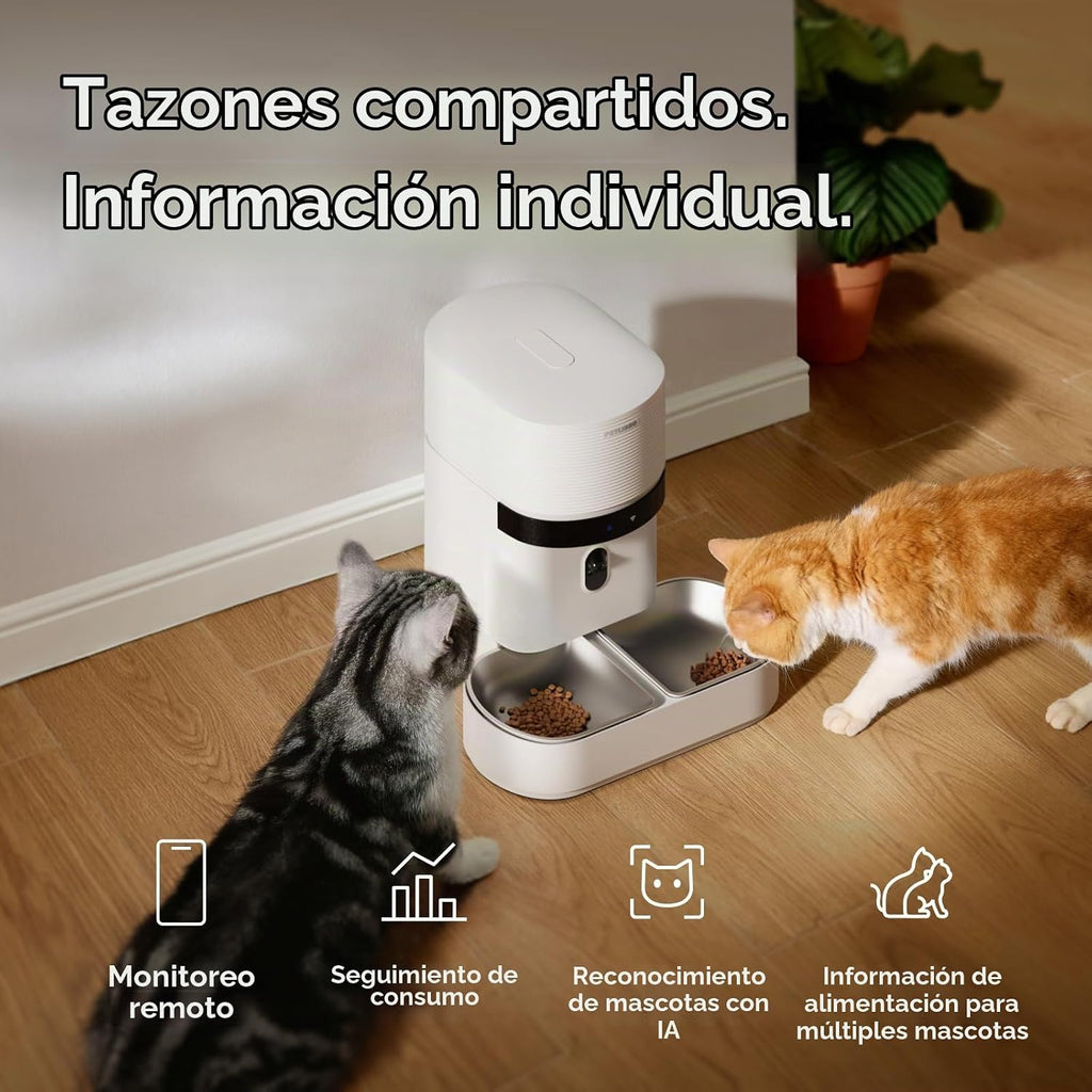 PETLIBRO Alimentador automático para gatos 2 gatos, registro de admisión de