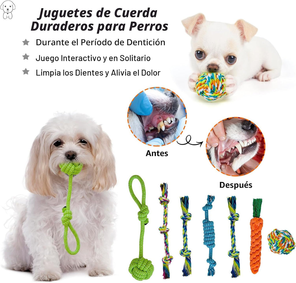 20 unidades Juguetes para Cachorros para la Dentición, Juguetes para Masticar con Cuerda, Cepillo Dental para Perros, Pelotas Dispensadoras de Premios, Juguetes de Peluche y Juguetes Chirriantes para Perros Pequeños y Medianos con Canasta para Mantenerlos
