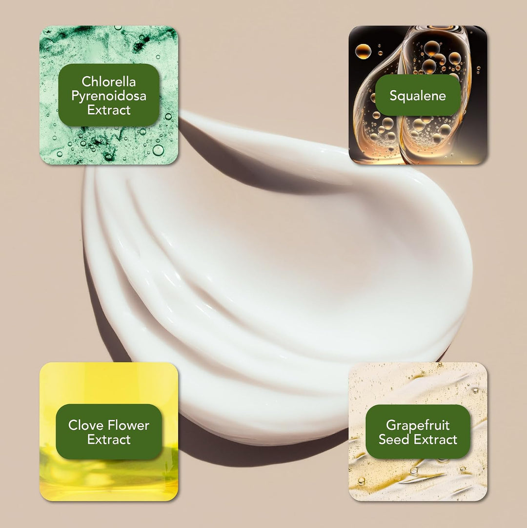 Sun Chlorella Crema hidratante facial que aumenta la hidratación pr...