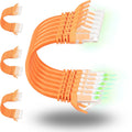 Rapink Cables de conexión Cat6 de 1 pie (paquete de 24), Cable de conexión Ethernet con soporte para 10G, Cable de conexión Cat 6 para panel de conexiones a switch, Cable Ethernet Cat 6 flexible con
