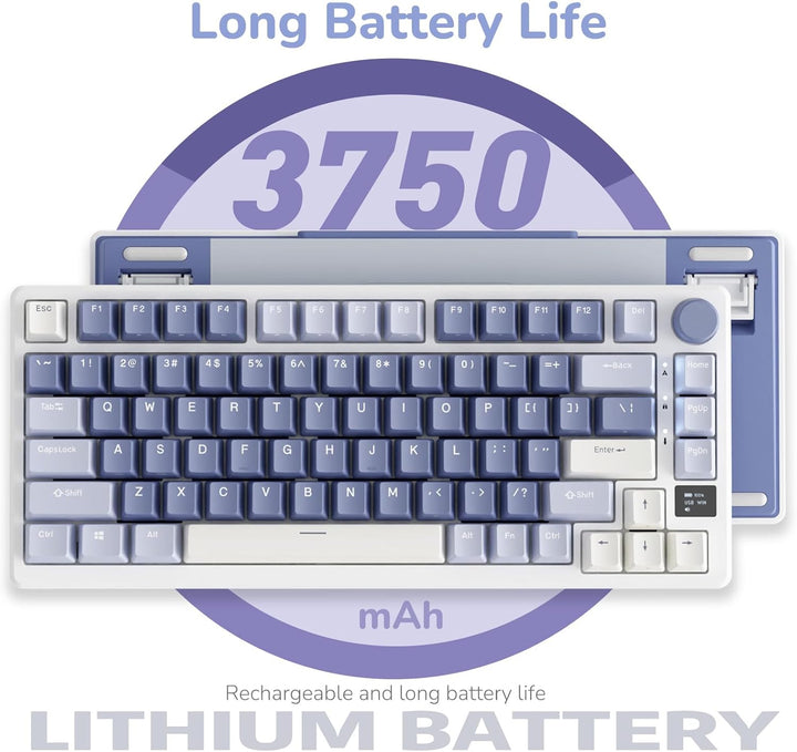 RK ROYAL KLUDGE M75 - Teclado mecánico con pantalla inteligente OLE...