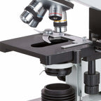 AmScope T490B Microscopio trinocular compuesto, ampliación de 40X-2000X, luz halógena, condensador Abbe, mesa mecánica de 2 capas, óptica de alta resolución, premiado con el n.° 6 entre los 10 mejores microscopios de 2016