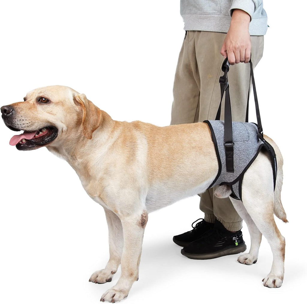 Dotoner Arnés para perros grandes, soporte para las patas traseras para ayudar a rehabilitar las extremidades traseras de perros ancianos con patas traseras débiles, discapacidades y lesiones. El arnés para perro ayuda a la recuperación de artritis ACL