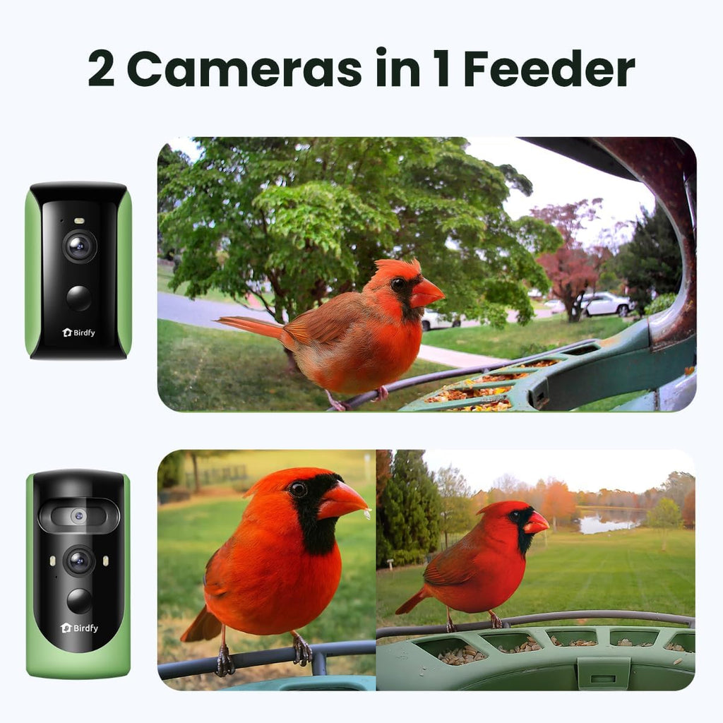 Birdfy 2 cámaras dúo alimentador de pájaros, 2 cámaras 3 vistas