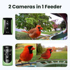 Birdfy 2 cámaras dúo alimentador de pájaros, 2 cámaras 3 vistas