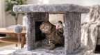Cama grande para gatos con poste rascador y tabla de peinar