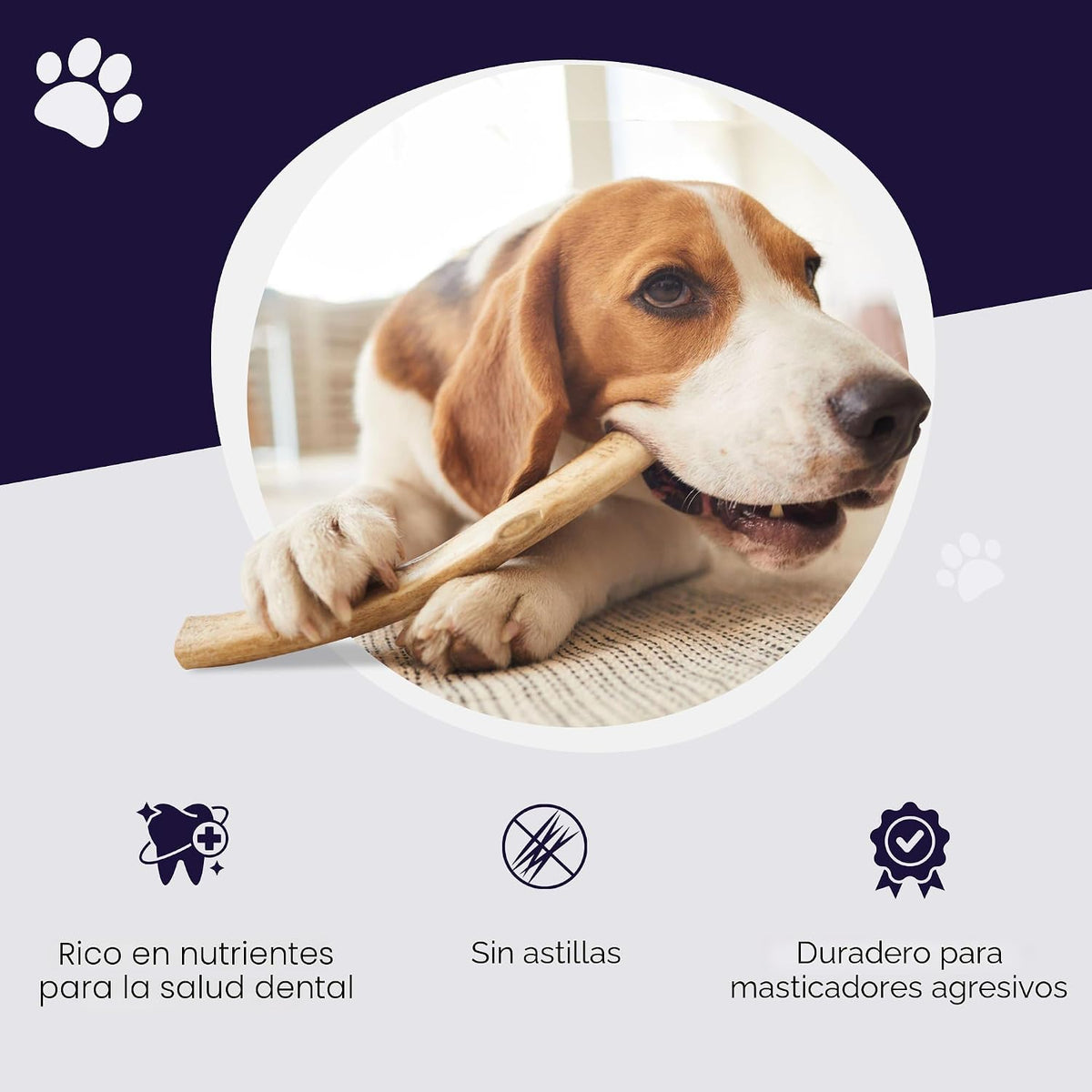 Devil Dog Pet Co Astas enteras de alce para perros, Mediano, Masticadores agresivos