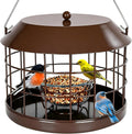 Bluebird - Comedero para gusanos de harina con cuenco de vidrio