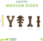 Benebone Medium 4-Pack Dog Toys para Aggressive Chewers – Under 60 lbs