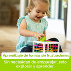 Fat Brain Toys InnyBin Juguetes de aprendizaje de forma, juguetes sensoriales para bebés y niños pequeños, juguetes para bebés a partir de 10 meses+