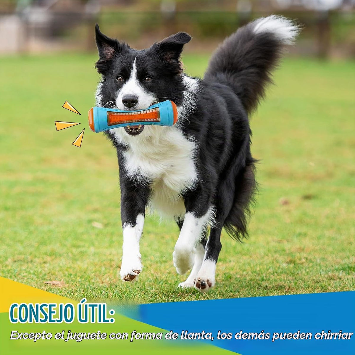 4 juguetes interactivos de piscina para perros, juguetes flotantes de agua
