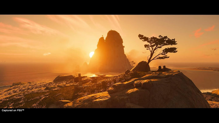 PlayStation, Ghost Of Tsushima Director's Cut (PS5)