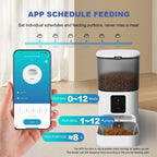 Comedero automático para gatos, dispensador de alimentos