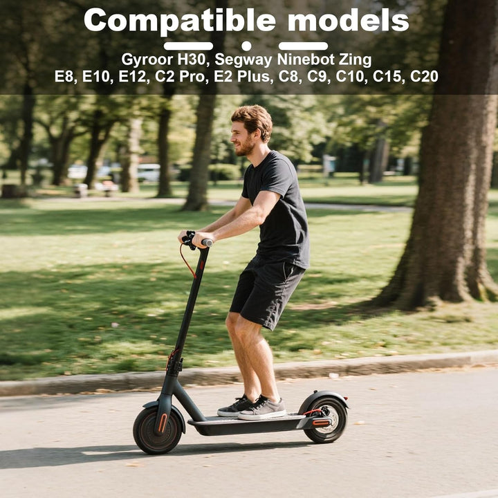 BTFO Cargador de scooter de 252 V para Ninebot compatible