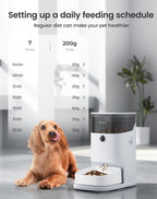 Alimentador automático para gatos, dispensador de tazón de comida para