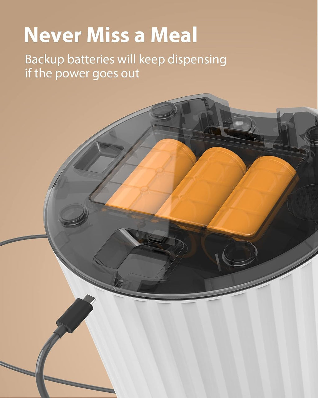 Alimentador automático para gatos con temporizador - Dispensador de